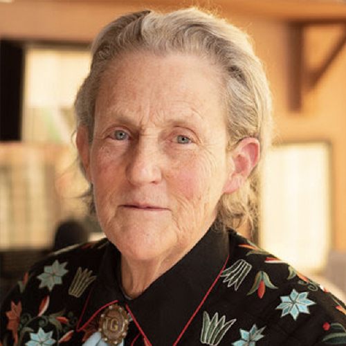 American Veterinary Medical Association